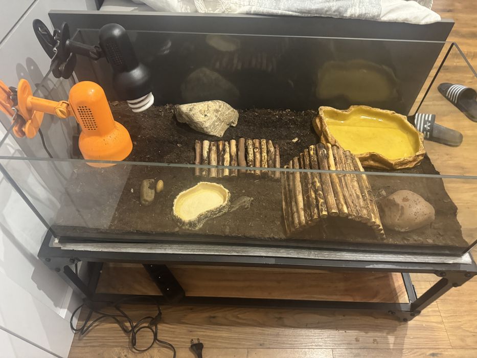Terarium Sprzedam