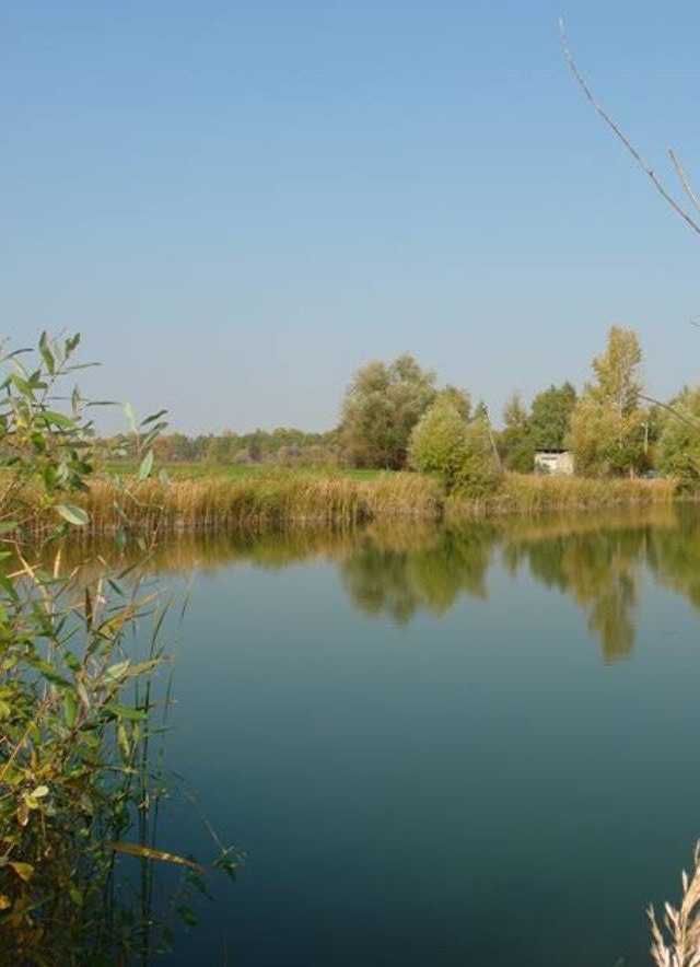 Ділянка 95 соток зі своїм озером в Бориспільському районі