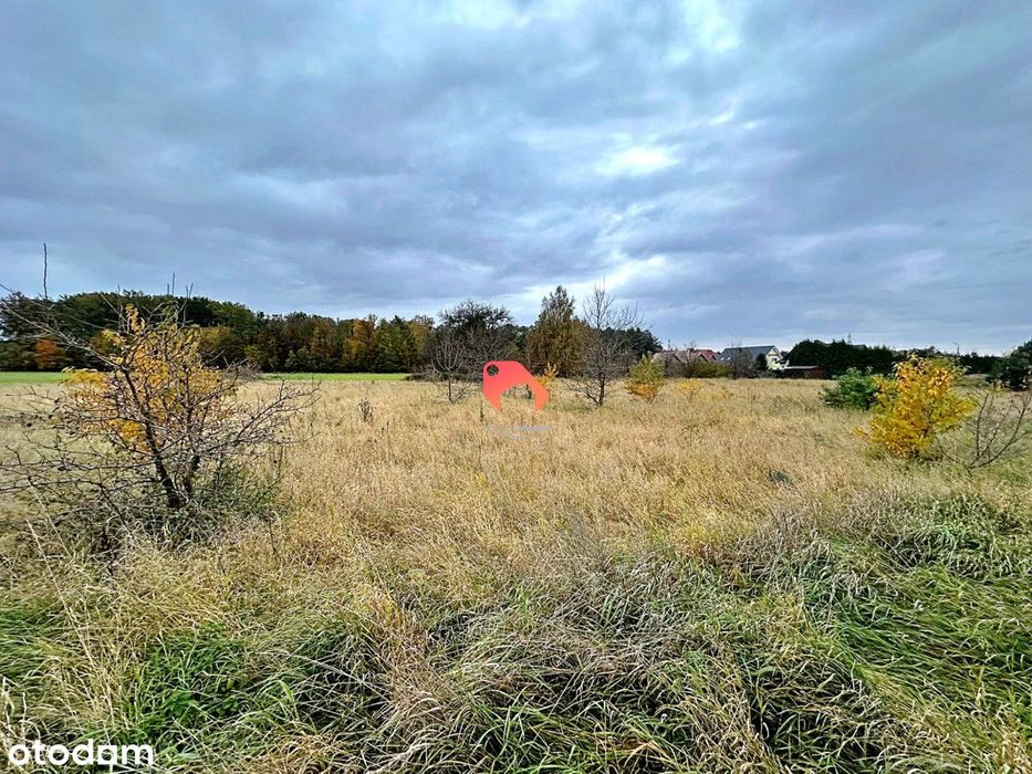 Łochowice, działka 852m2 z WZ