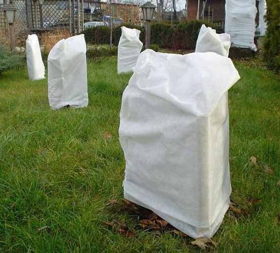 Ogrodnik ,sprzątanie i przygotowywanie ogrodów do zimy