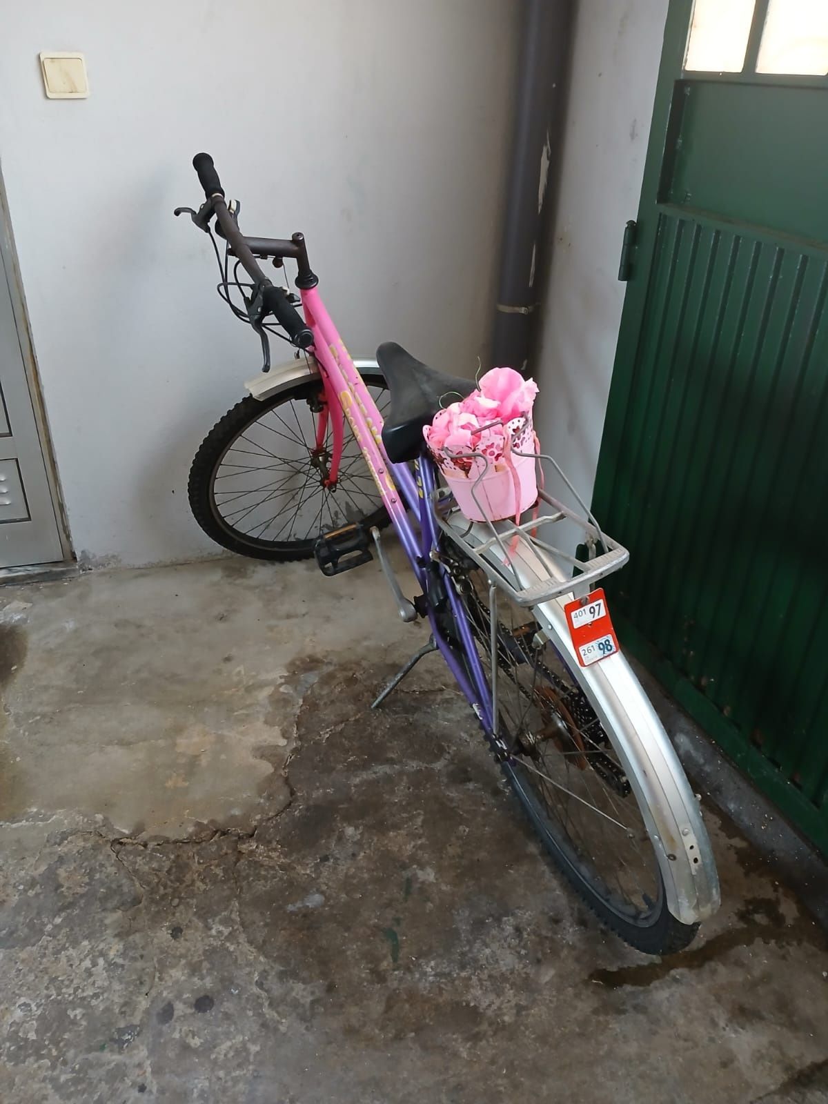 bicicleta Caloi ceci