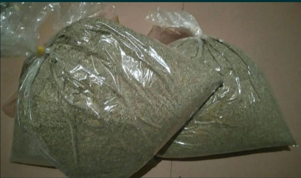 Majeranek czysty pachnący