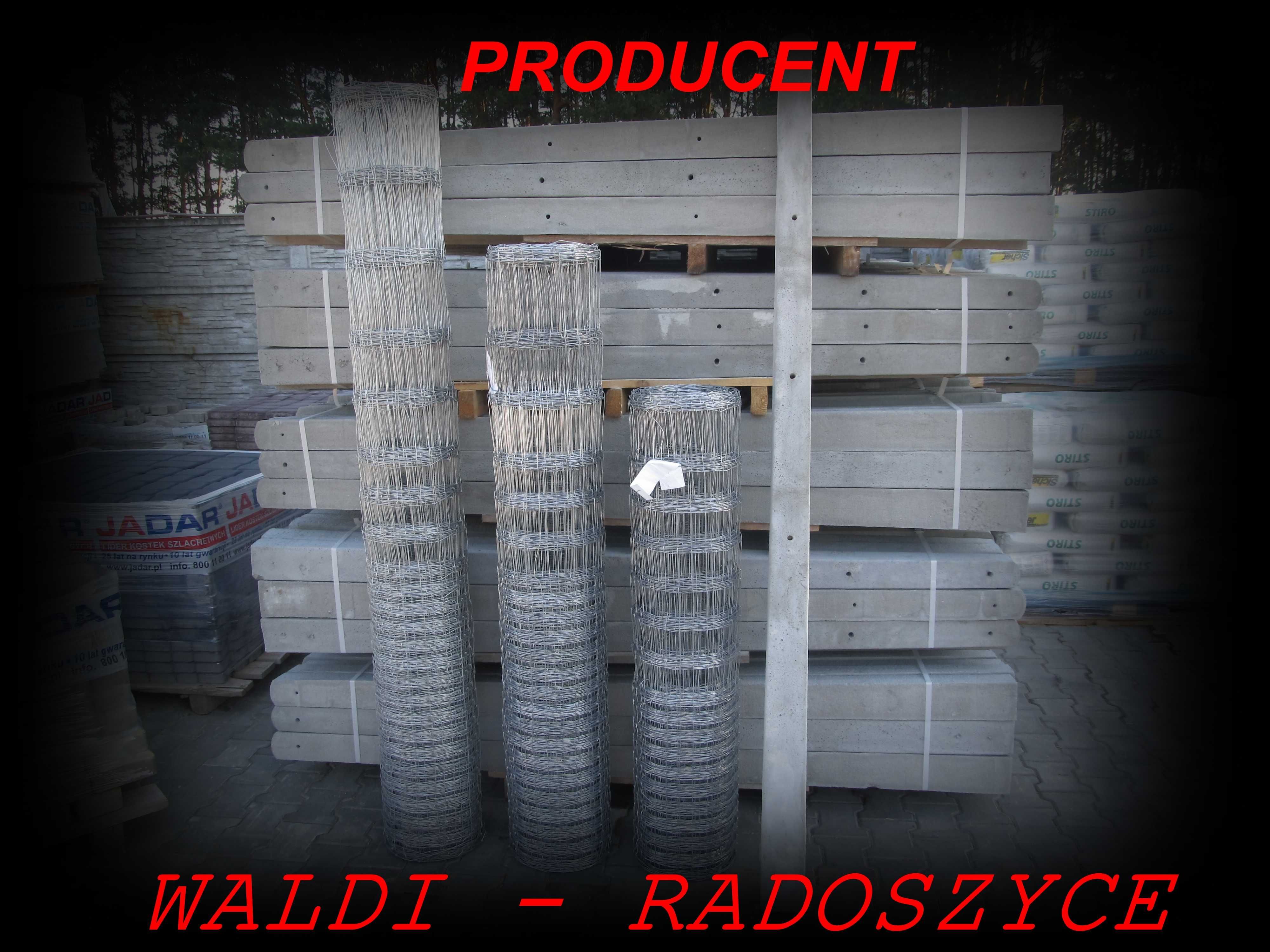 Siatka Leśna 180/24/15 L (zagęszczona do 80cm od dołu) PRODUCENT WALDI