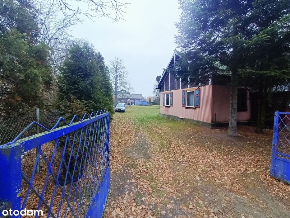 Urokliwe siedlisko z lasem CENA DO NEGOCJACJI