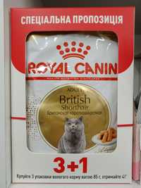 Акція 3+1 Royal Canin British shorthair adult 85 g