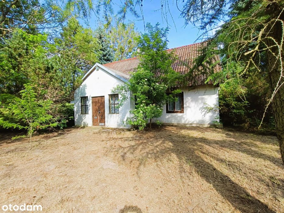 Klimatyczny , przedwojenny dom na pięknej działce.