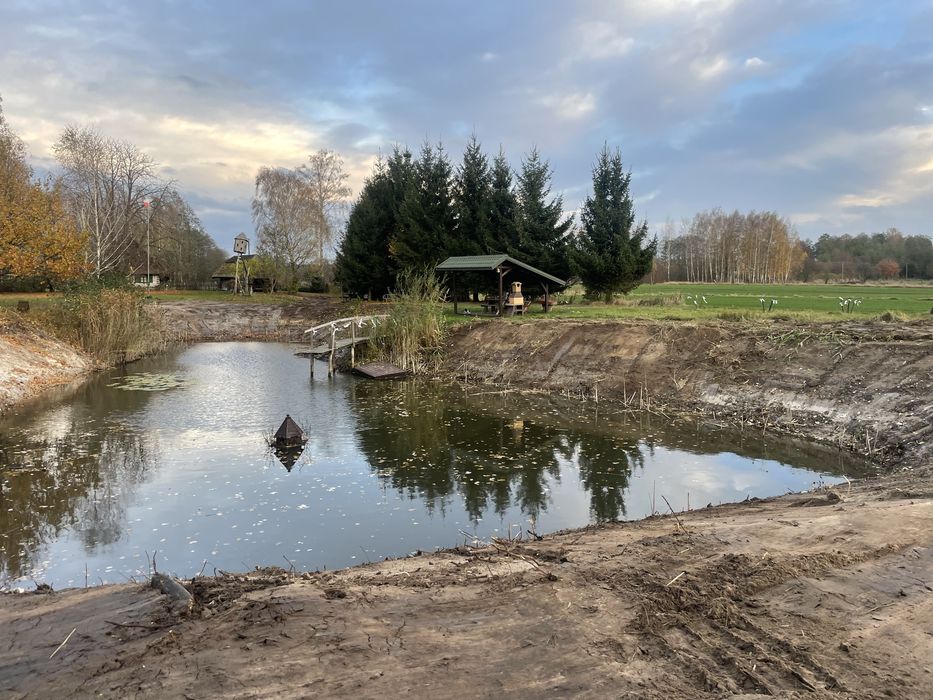 Usługi koparką gąsienicową – stawy, rowy, przywracanie nieużytków