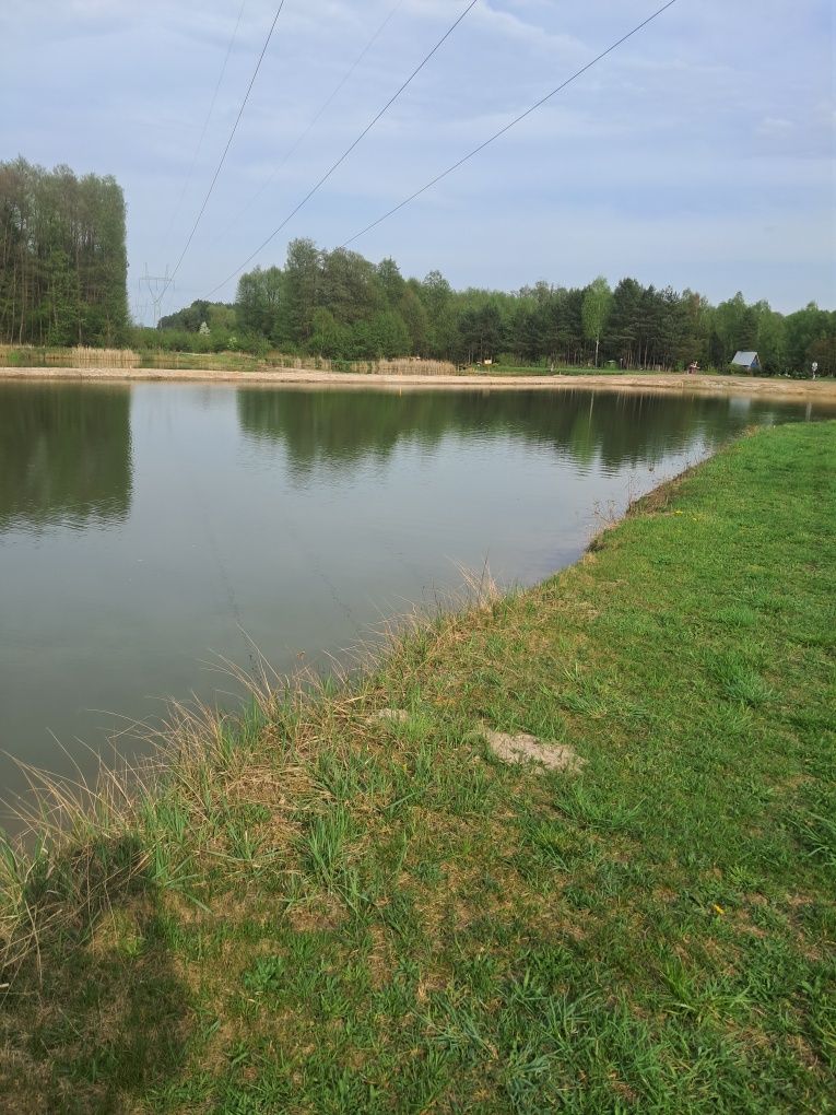 Sprzedam działkę w Nekielce