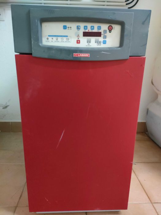 Caldeira a Gasóleo Lasian (Mafra)