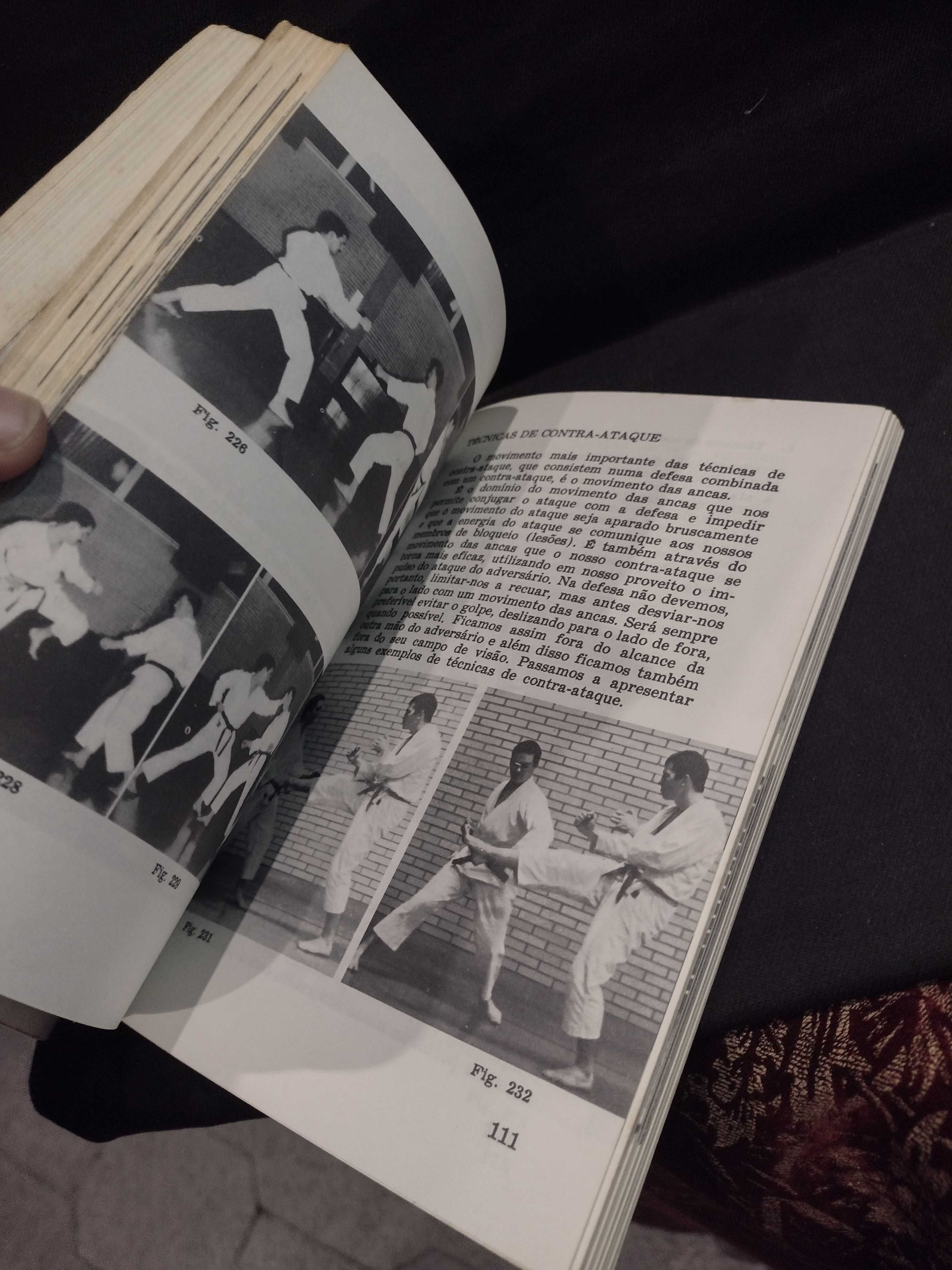 Karate (bases e técnicas básicas) - Albrecht Pelüger - 2 volumes