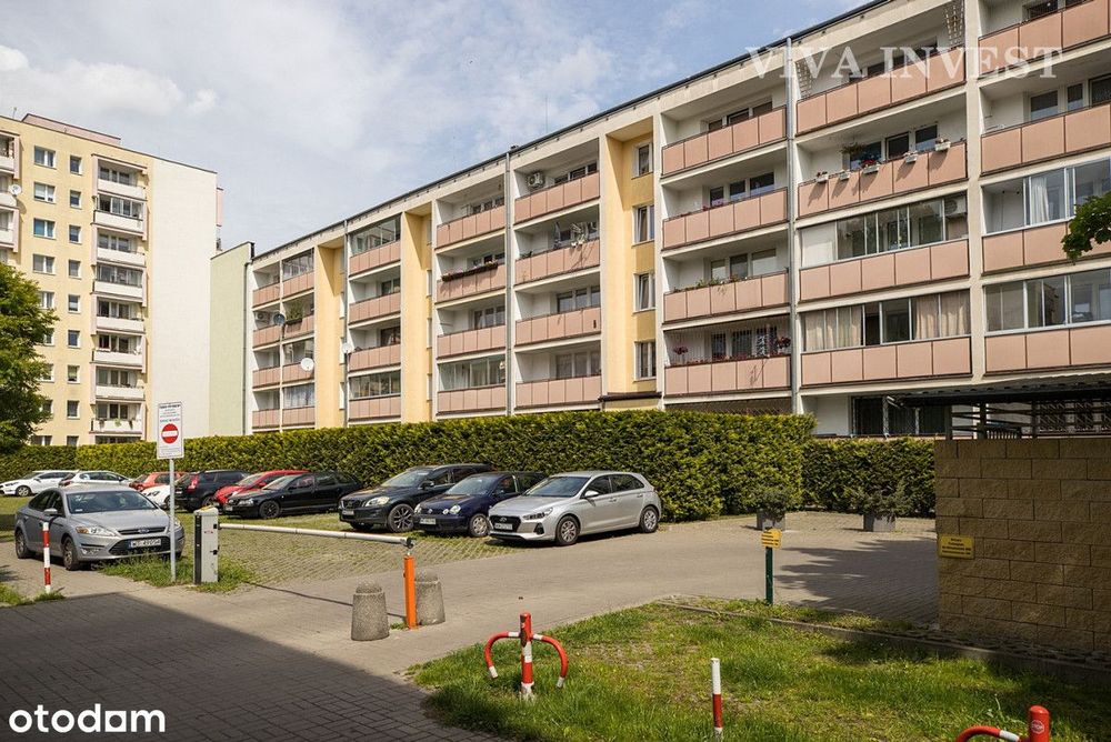 Gotowe do wejścia !