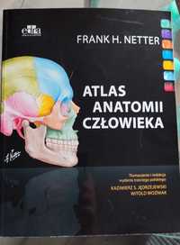 Netter atlas anatomii człowieka