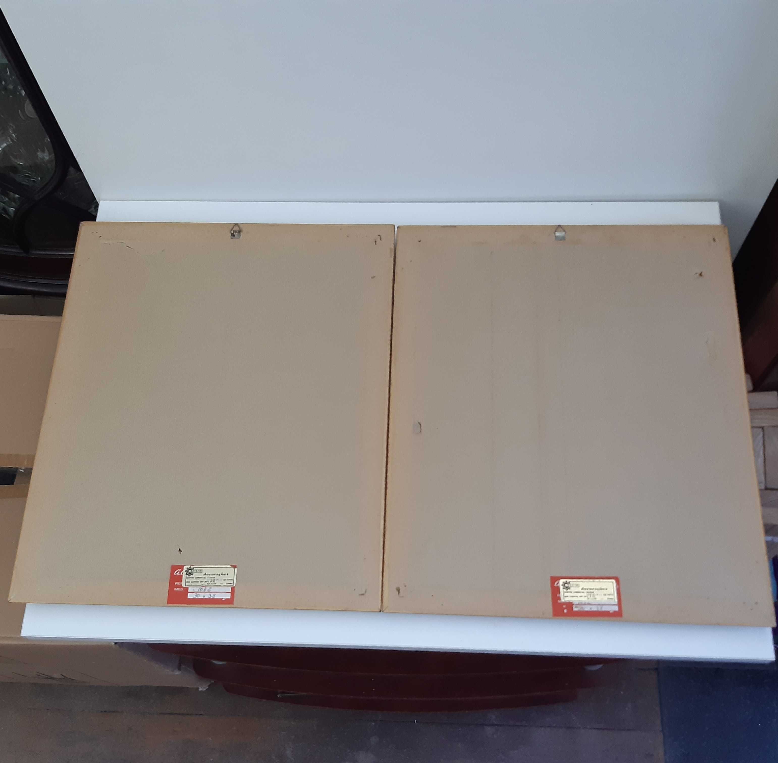 Retro Antigo 2 Quadros 34,5x42,5cm Gravuras Rosas