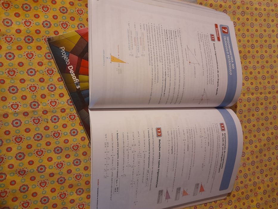 Caderno atividades- Projetos Desafios- Matemática 9 ano- Santillana