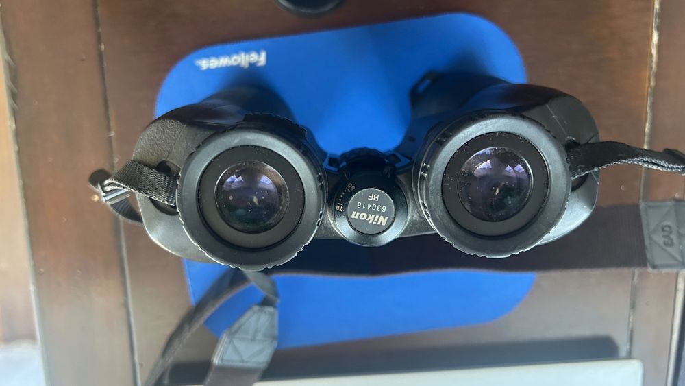 Lornetka Nikon Action EX 12x50