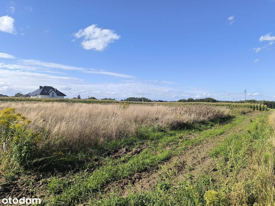 Działka budowlana z pozwoleniem na budowę