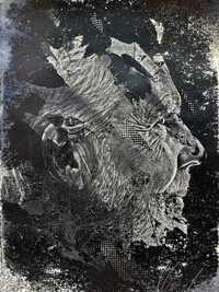 Vhils - Edição Limitada "Dub" - Assinada e numerada