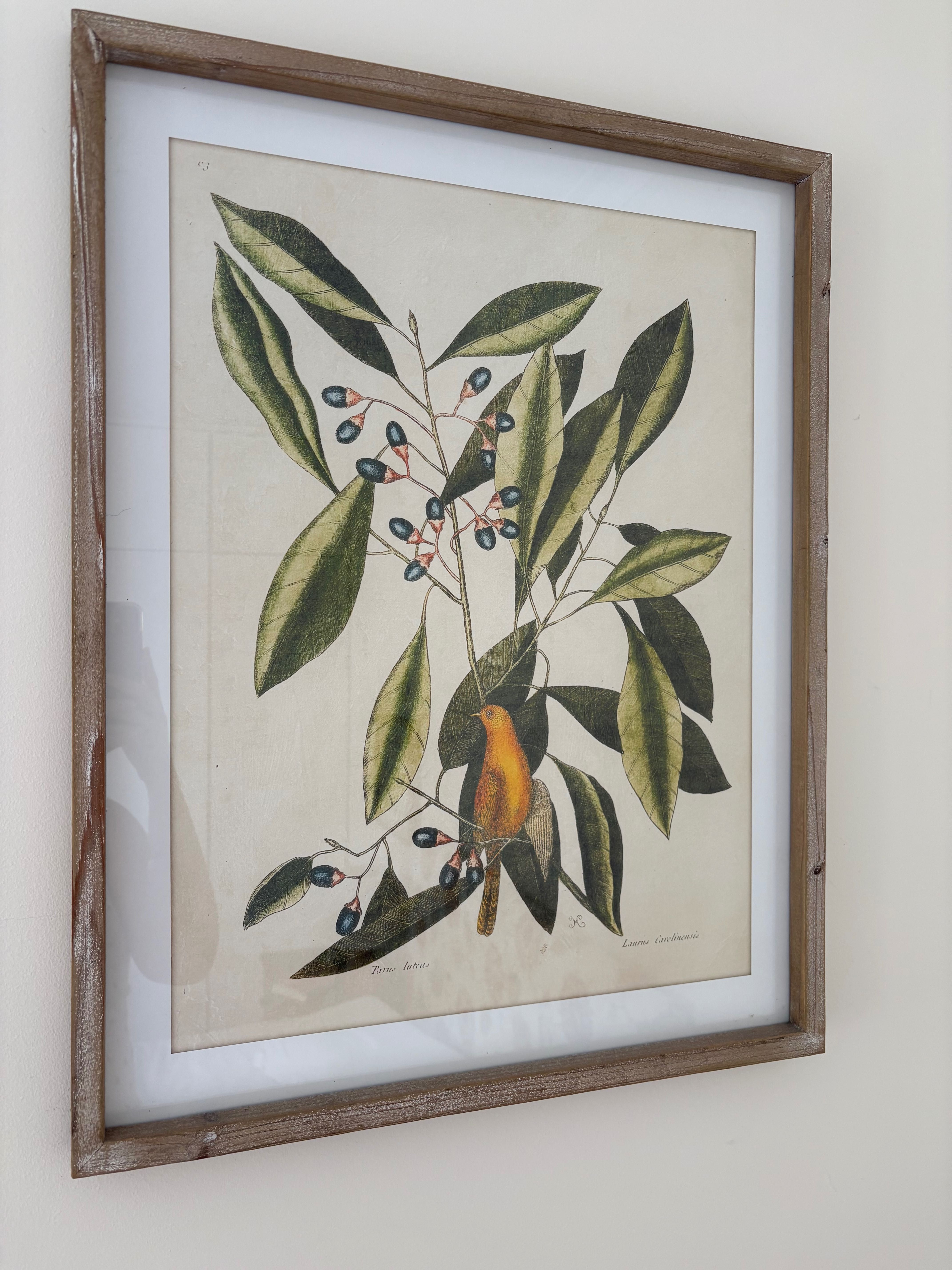 Quadros decorativos