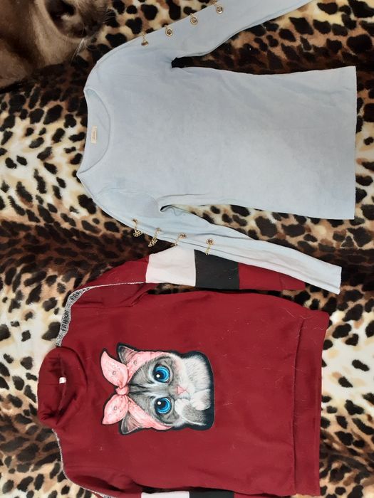 Кофта,свитер,полувер на девочку 152см