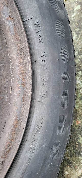 Opony Zimowe Firestone Winterhawk 4 195/65/15 91T