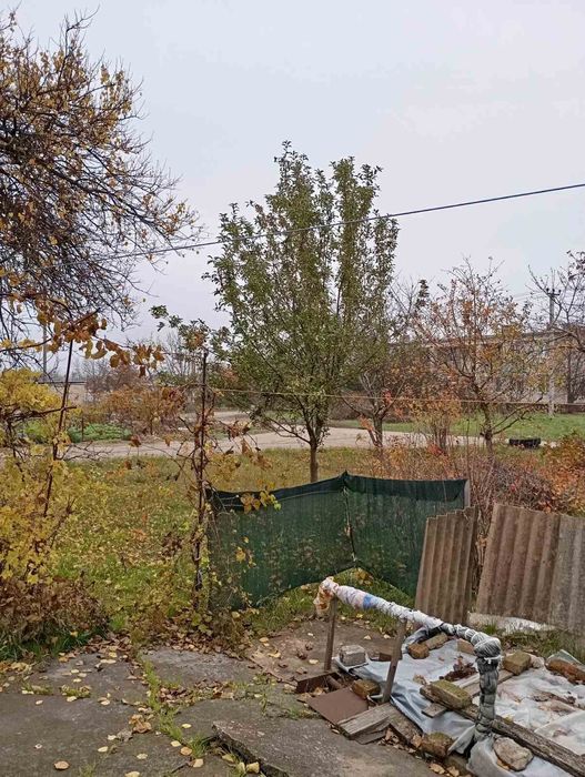 Продаю дом в пгт.Родушное!