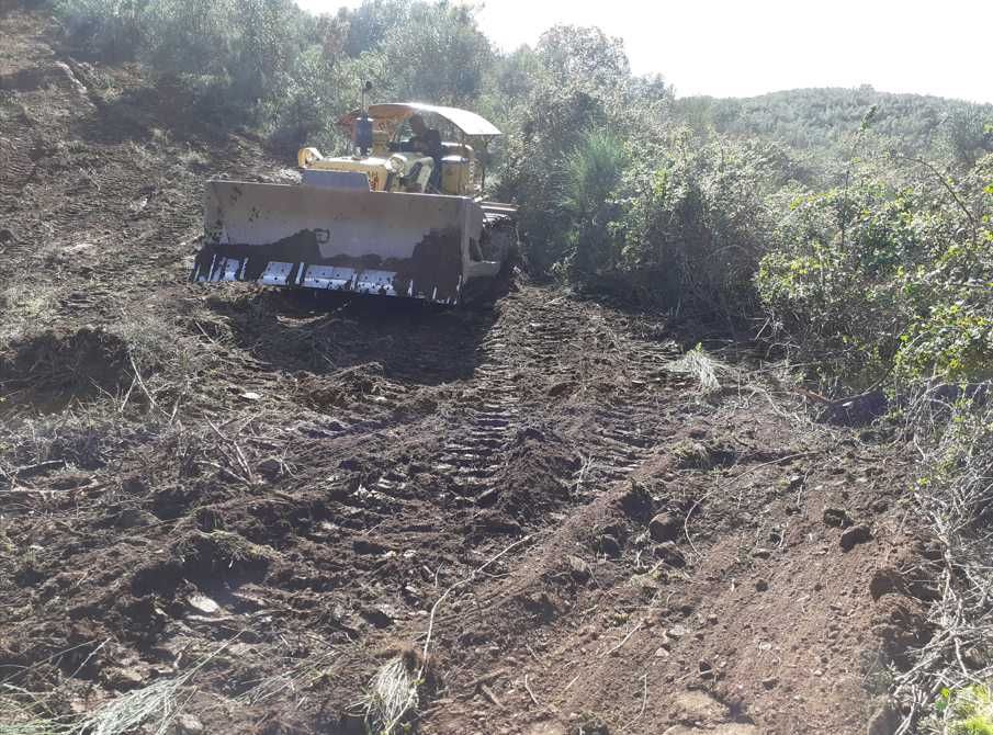 Propriedade Barro do Cocharro sito ao Compasso