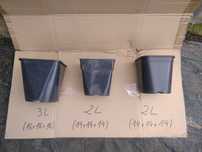 Doniczki produkcyjne 2l i 3l