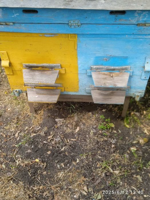 Продам вулики для бджіл