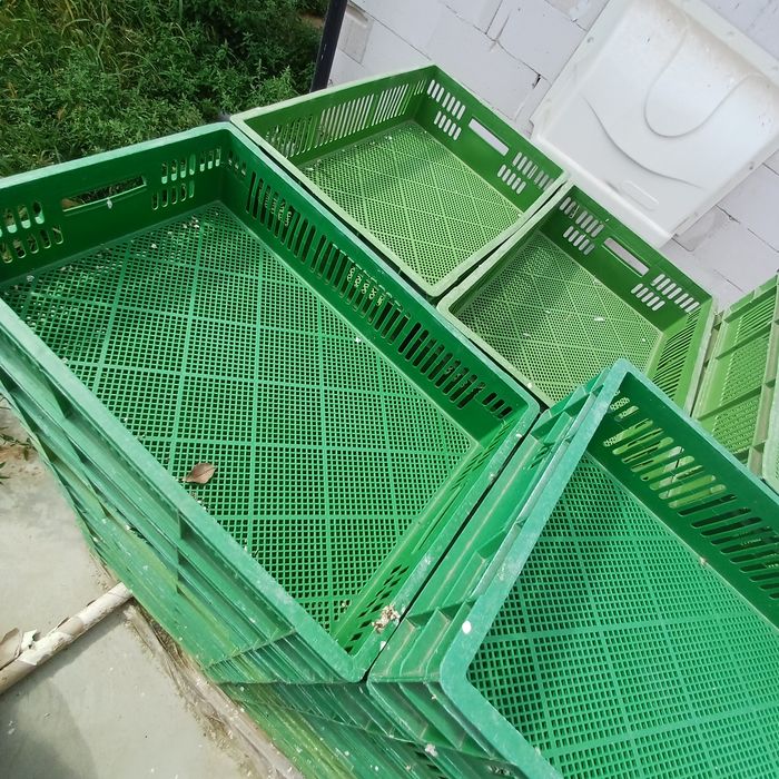 Skrzynki,pojemniki na owoce,warzywa.