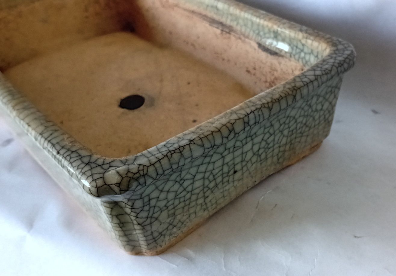 Vaso Bonsai rectangular