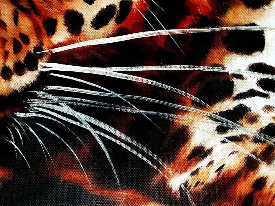 Conjunto Leopardo de três painéis de pintura original em canvas