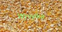 Kukurydza gnieciona walcowana25kg dla kur niosek i innych zwierząt