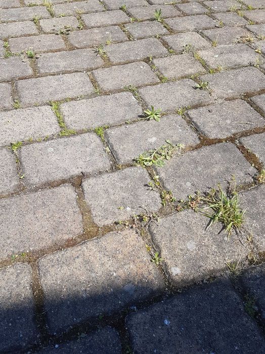 sprzedam kerher profesional HD 10/21-4s