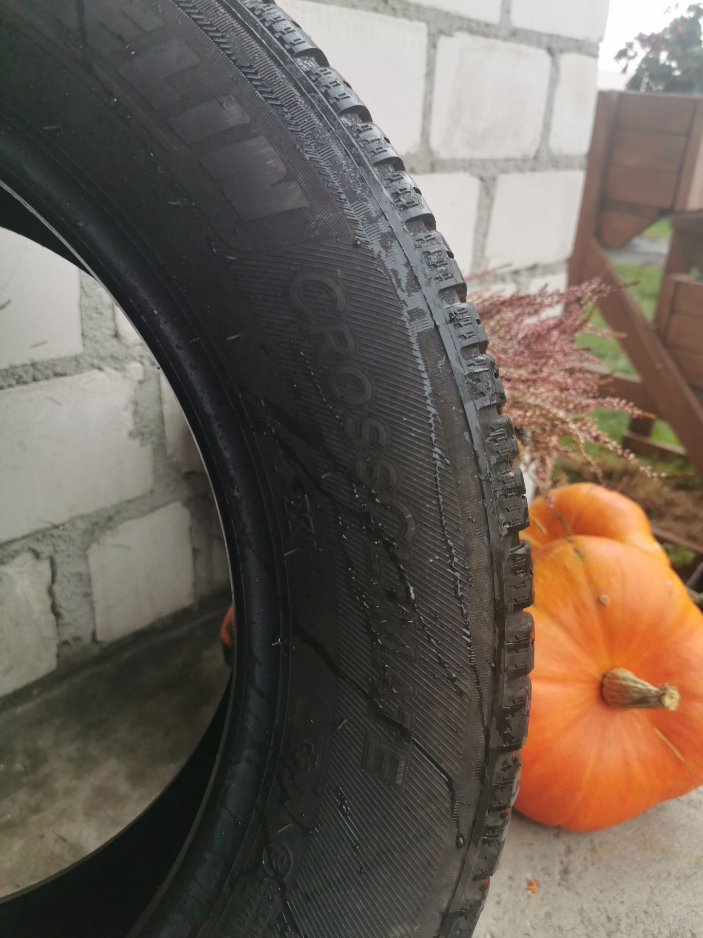 Opona Michelin CrossClimate 205/60R16