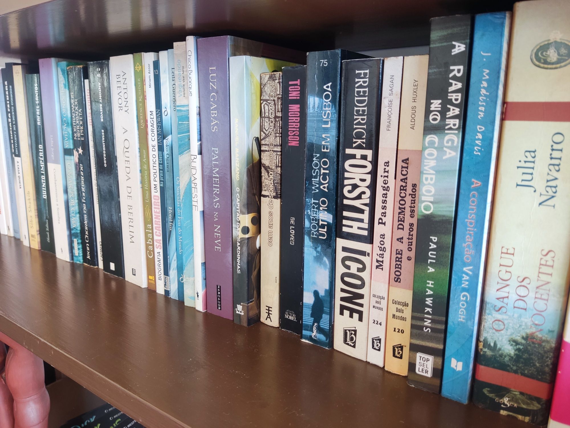 Lote de vários livros