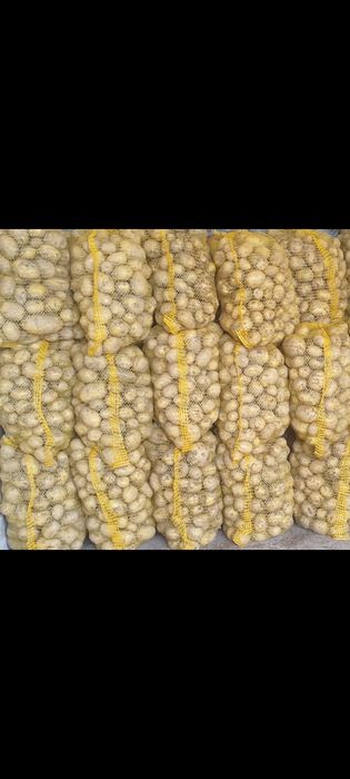 Sprzedam ziemniaki Soraya, Queen Anna