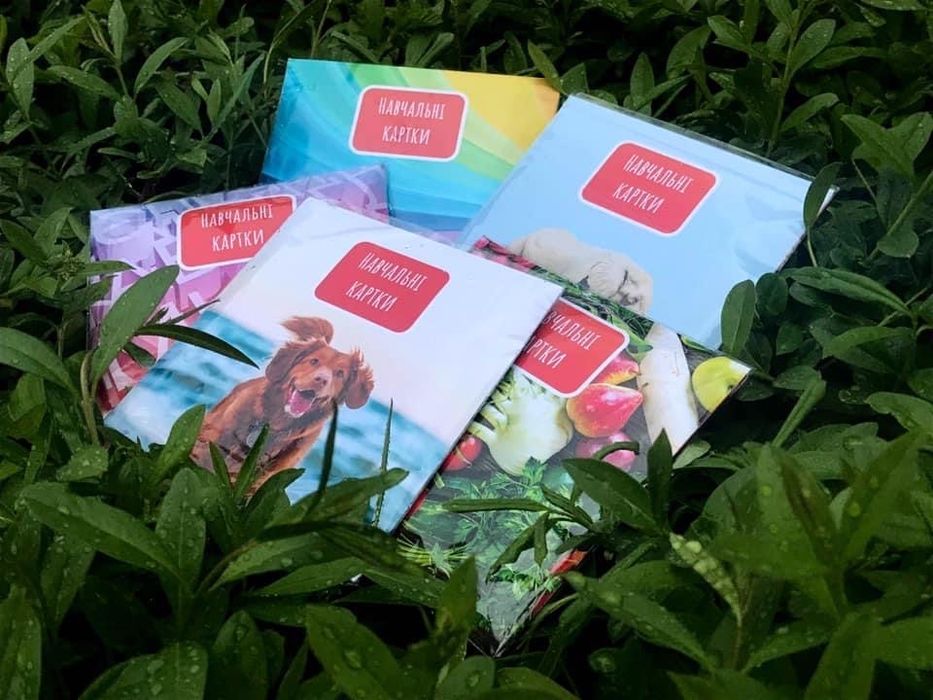 Навчальні картки (Овочі,фрукти,тварини,абетка)