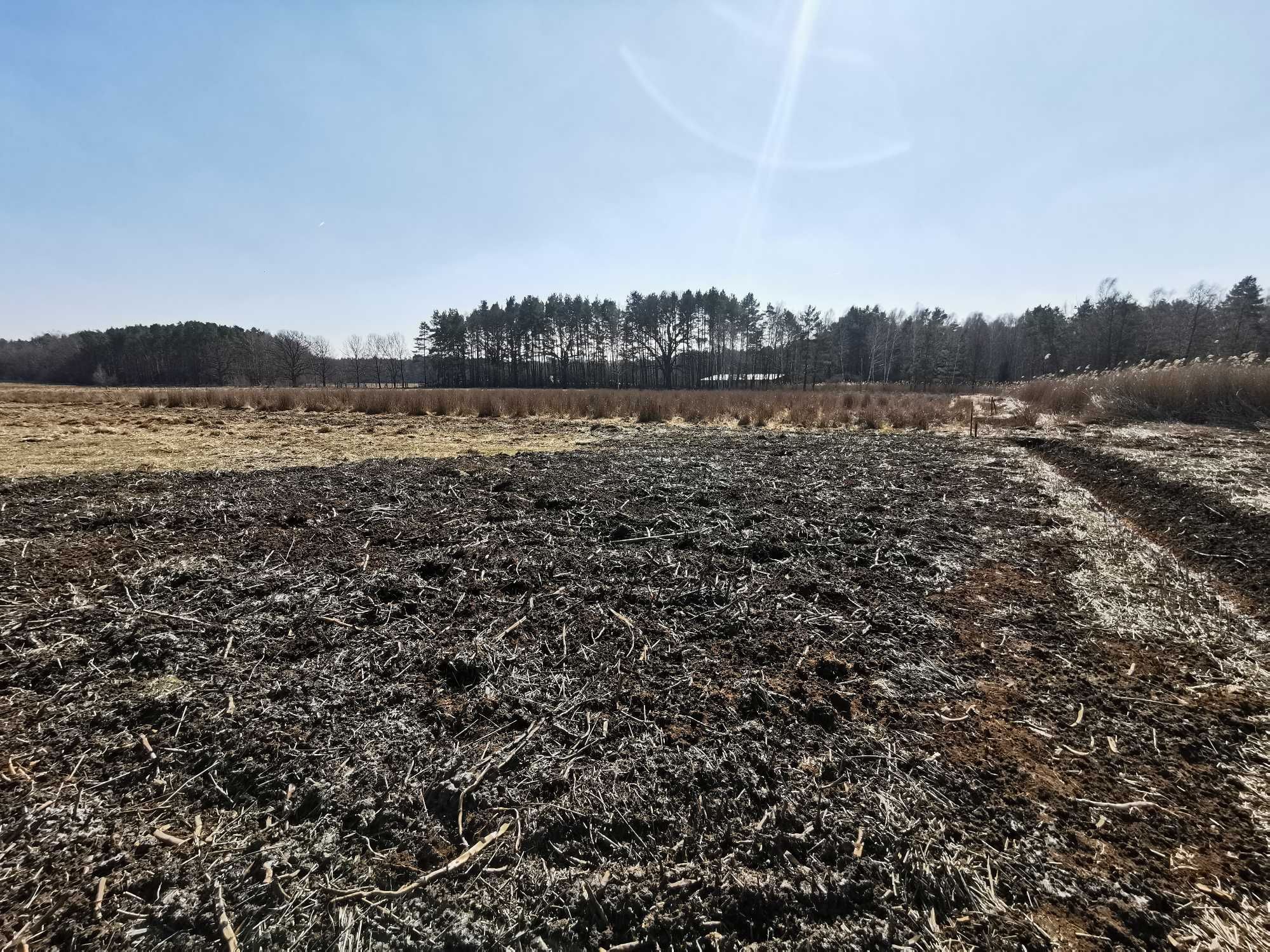 Działka budowlana pod lasem - Kalety (Jędrysek)