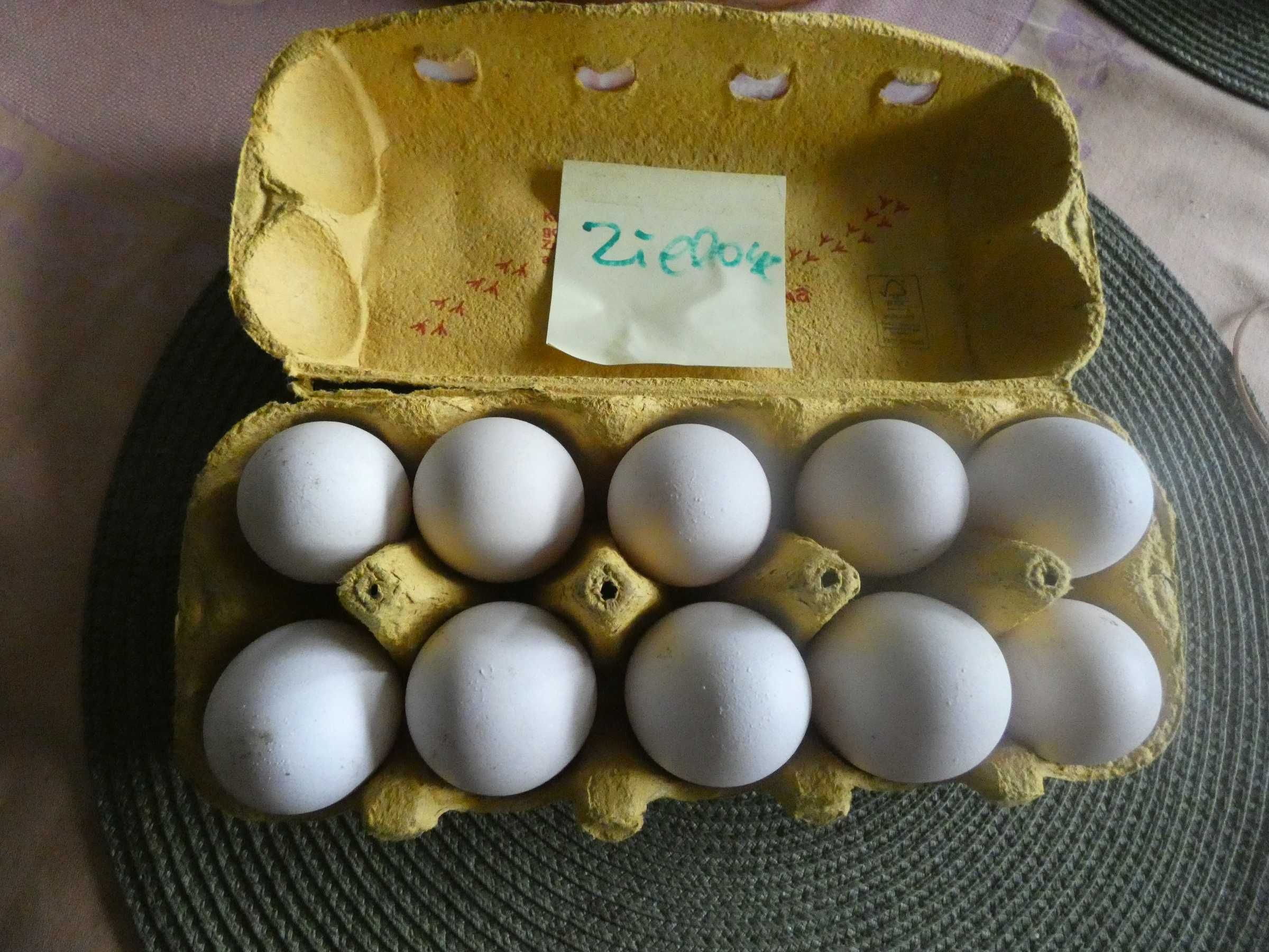jaja -eko sprzedam