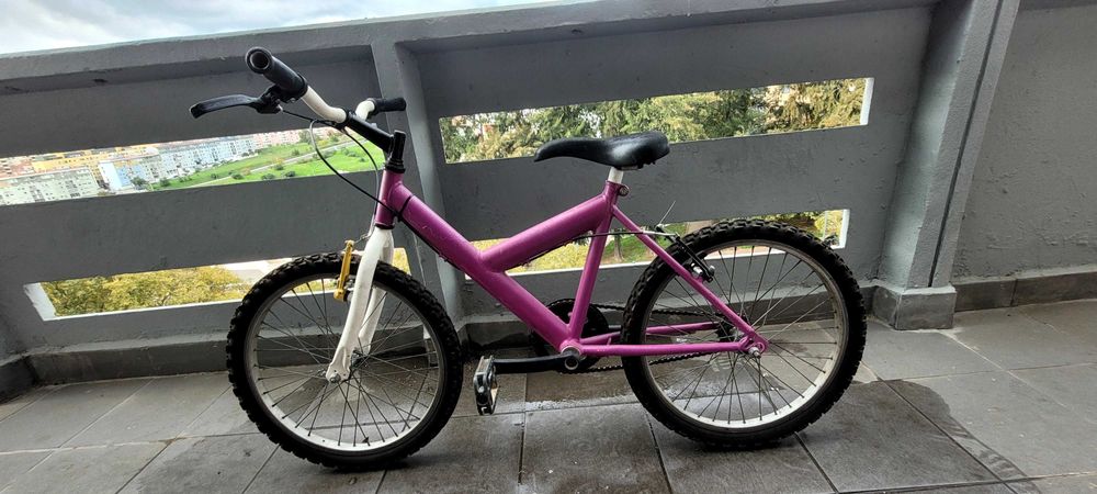 Bicicleta montanha teem criança roda 20