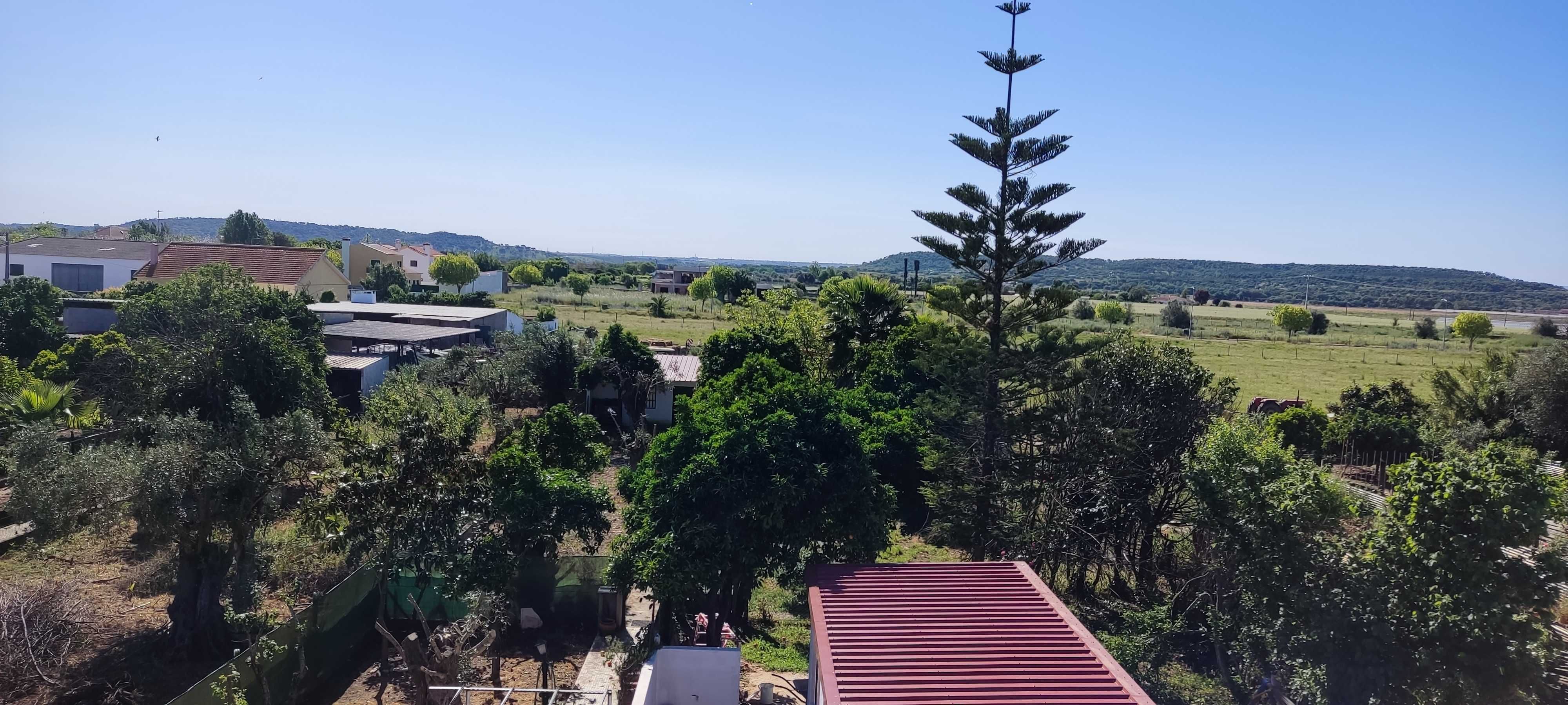 T2 em Pombalinho (Santarém Golegã) 1 km da estação de comboio