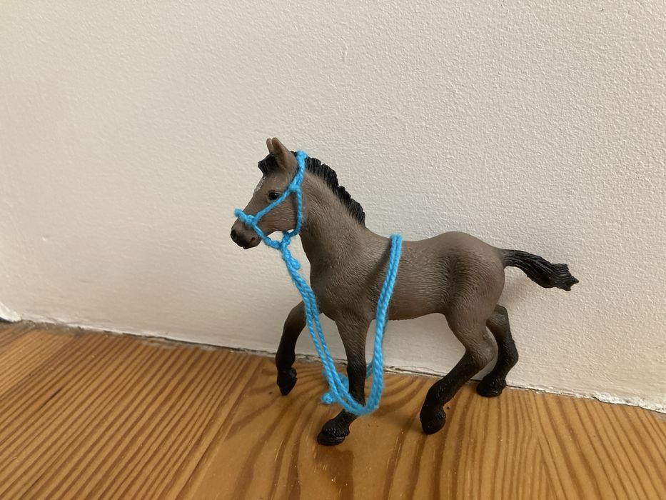 Zrebak schelich,stan idealny,z halterem