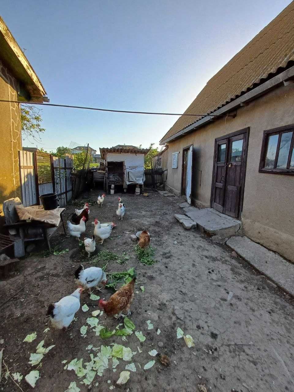 Продам Дом, с. Приморское, Б-Днестровский р-н. Сергеевская ОТГ