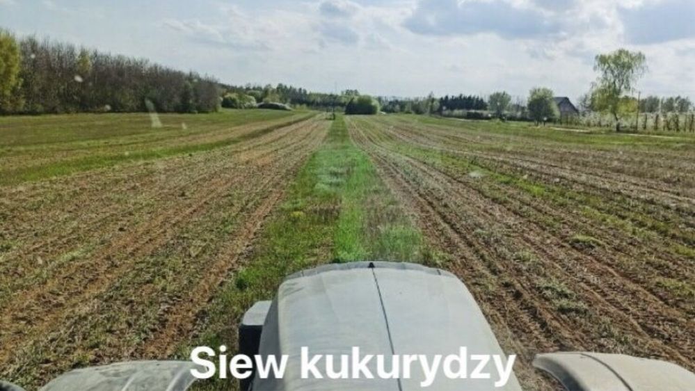 Strip Till Siew pasowy siew bezorkowy Horsch Focus