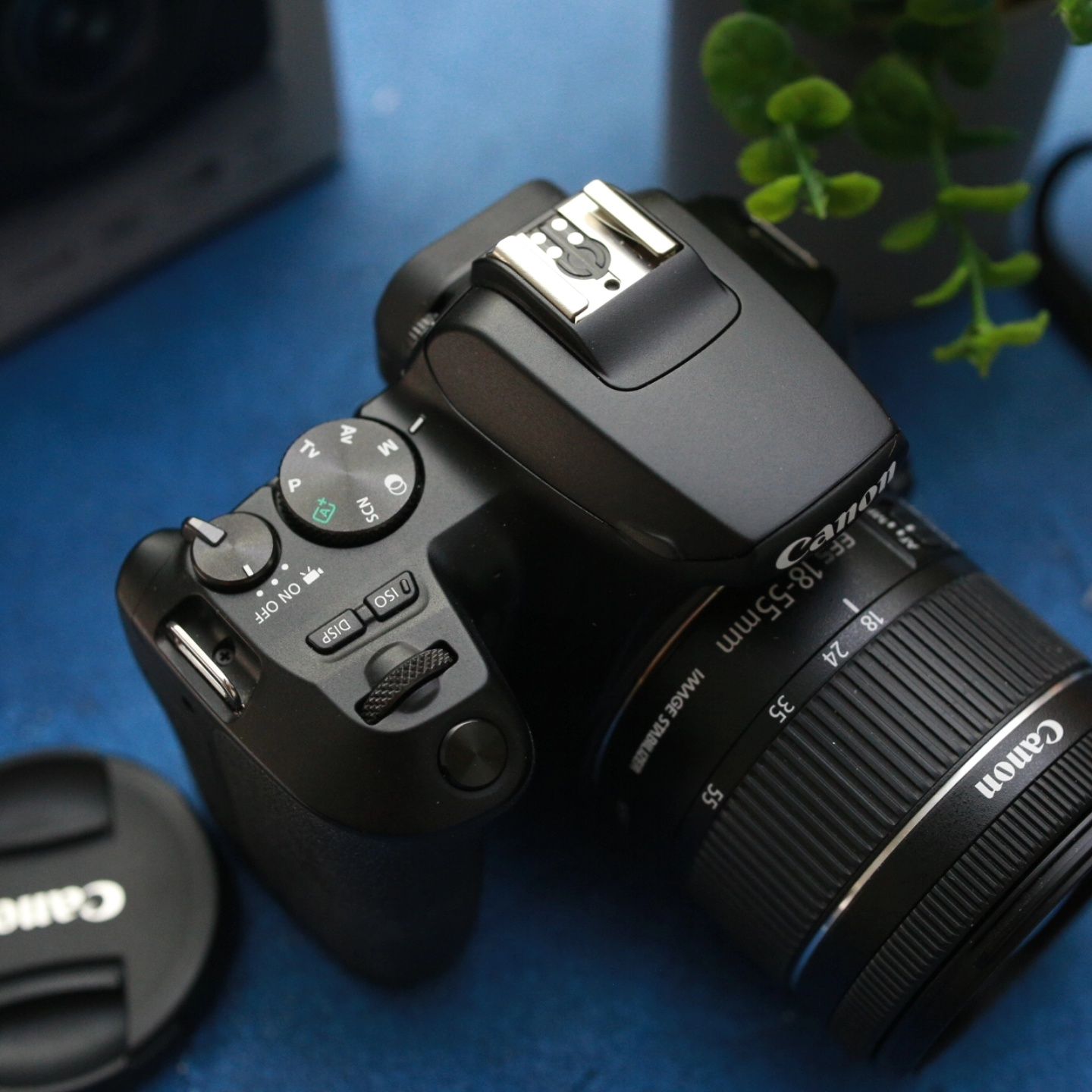 Новенька Canon 250d 18-55stm wifi dual pixel