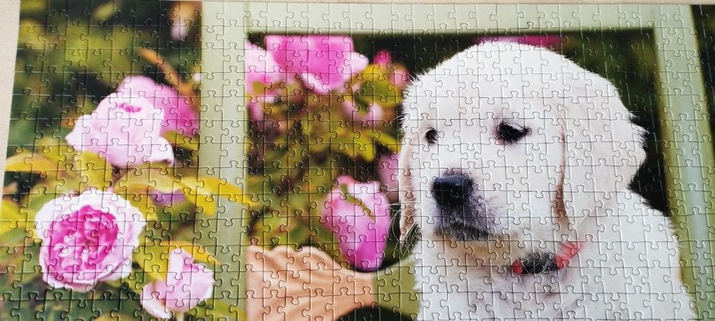 Puzzle 2w1 Trefl 1000 + 500 elementów Psy Szczeniaki Nowe kompletne