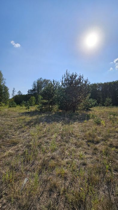 Дешева земельна ділянка в межах міста.