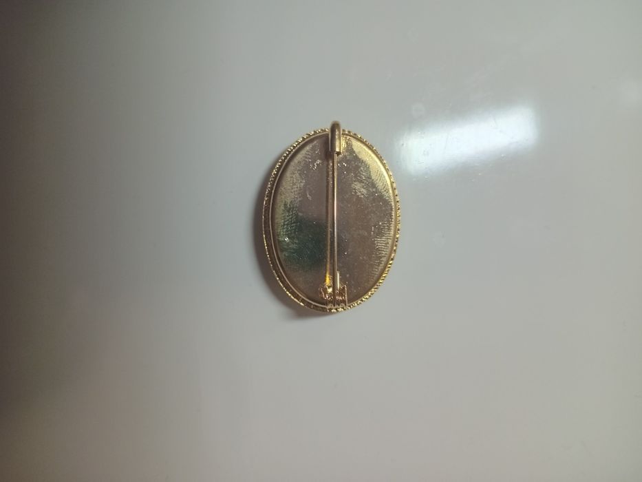 Набор (клипсы и брошь)