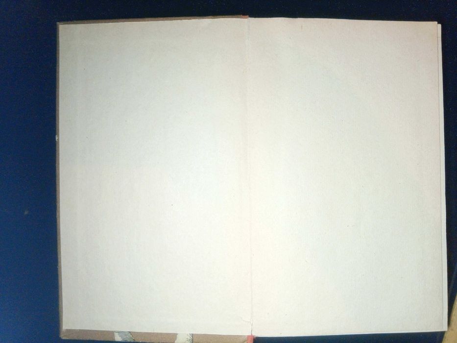 Книга 1993 Робін Гуд КИЇВ «ВЕСЕЛКА».