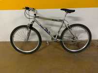 Bicicleta adulto